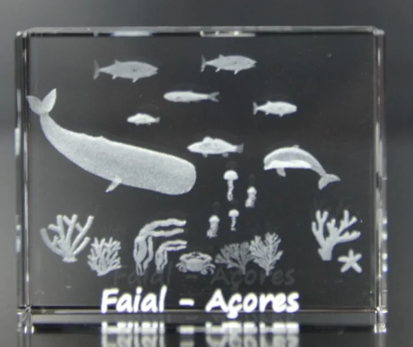 Paralelepípedo Cristal 706040 - Fundo Mar - Faial