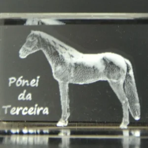 DSC_8754_2 Paralelepípedo Cristal CR17 - Pónei da Terceira