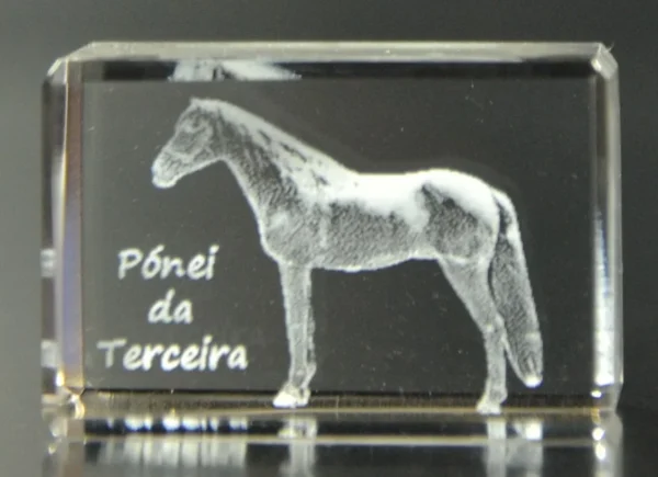 DSC_8754_2 Paralelepípedo Cristal CR17 - Pónei da Terceira
