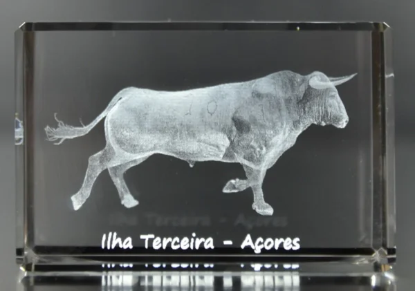 Paralelepípedo Cristal CR17 - Touro