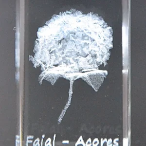 Paralelepípedo Cristal C1 Hortênsia-Faial
