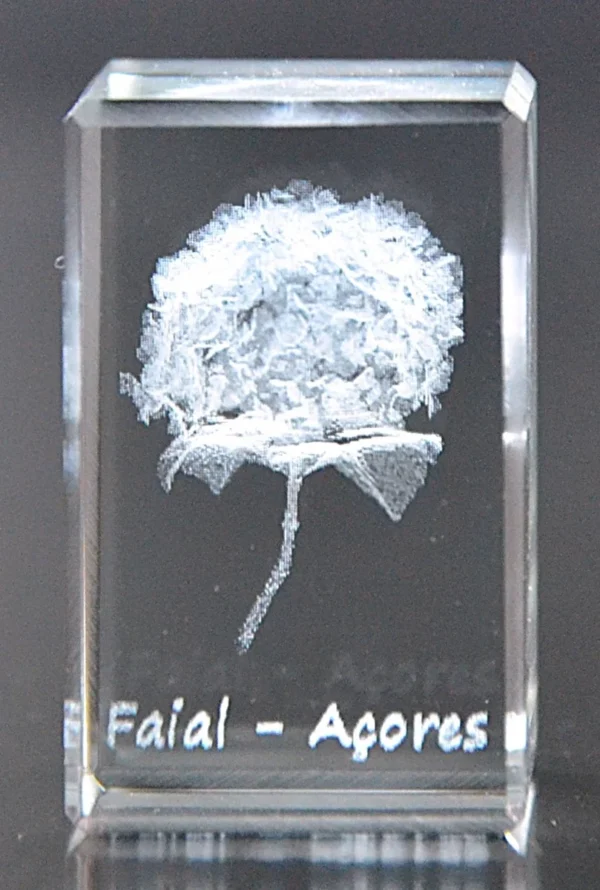 DSC_9212 Paralelepípedo Cristal C1 Hortênsia-Faial