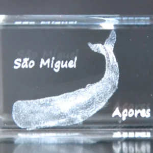 Paralelepípedo Cristal C1 Cachalote-São Miguel