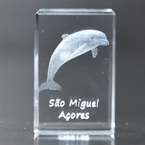 Paralelepípedo Cristal C1 Golfinho-São Miguel