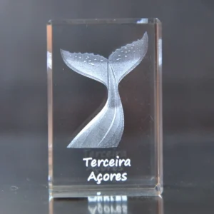 Paralelepípedo Cristal CR40 -  Cauda Baleia - Terceira