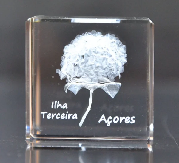 DSC_9312 Cubo Cristal CR4 - Hortênsia - Ilha Terceira - Açores