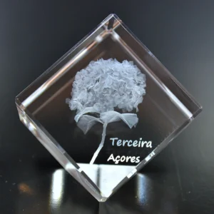 DSC_9313 Cubo Cristal CC CR21 - Hortênsia - Ilha Terceira - Açores