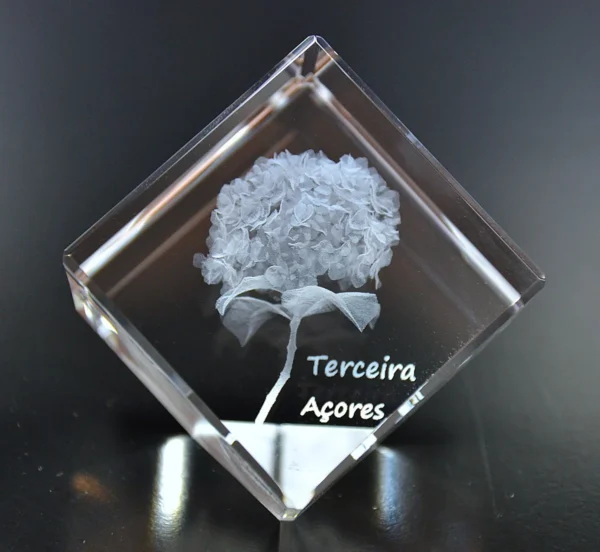 DSC_9313 Cubo Cristal CC CR21 - Hortênsia - Ilha Terceira - Açores