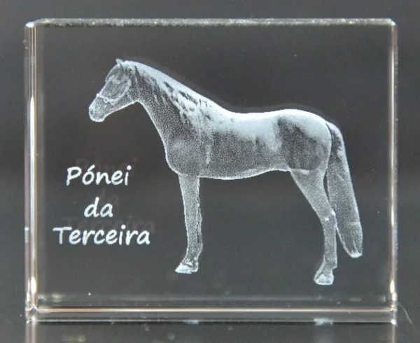 DSC_9320 Paralelepípedo Cristal 504025 Pónei da Terceira