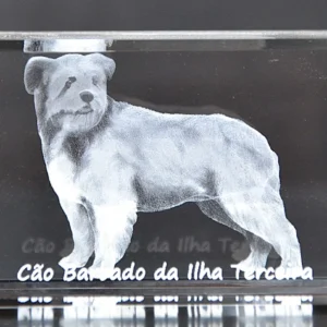 DSC_9330_2 Paralelepípedo Cristal CR40 - Cão Barbado