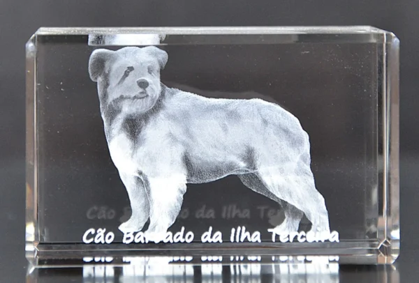 DSC_9330_3 Paralelepípedo Cristal CR17 - Cão Barbado