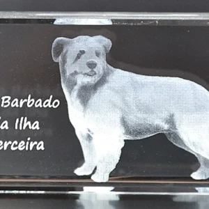 DSC_9331 Paralelepípedo Cristal 603535 Cão Barbado