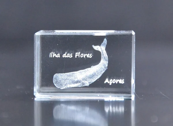 Paralelepípedo Cristal C1 Cachalote-Flores