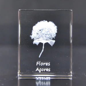 Paralelepípedo Cristal 504025 - Hortênsia - Flores