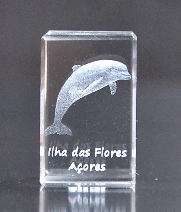 DSC_9356_2 Paralelepípedo Cristal C1 Golfinho-Flores