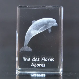 Paralelepípedo Cristal CR17 Golfinho-Flores