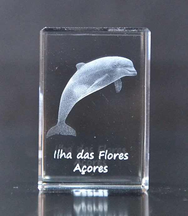 DSC_9360_3 Paralelepípedo Cristal CR17 Golfinho-Flores