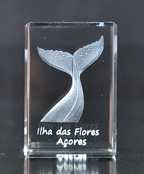 DSC_9362 Paralelepípedo Cristal CR17 Cauda Baleia - Flores