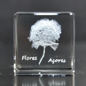 Cubo Cristal CR4 - Hortênsia Flores