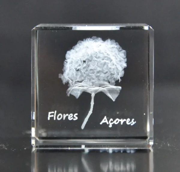 Cubo Cristal CR4 - Hortênsia Flores