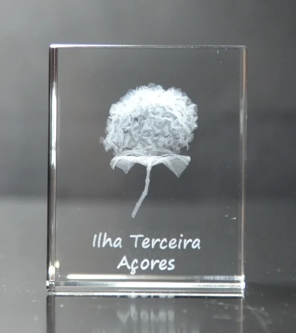 DSC_9390 Paralelepípedo Cristal 504025 Hortênsia-Terceira