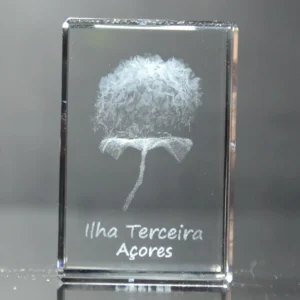 DSC_9392 Paralelepípedo Cristal CR17 Hortênsia - Terceira