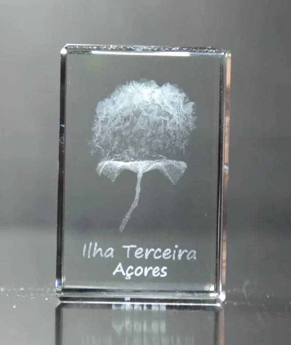 DSC_9392 Paralelepípedo Cristal CR17 Hortênsia - Terceira