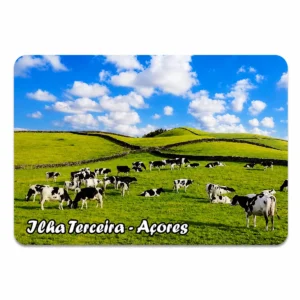 Iman Vitri Colorido Vacas na Pastagem - Ilha Terceira - Açores