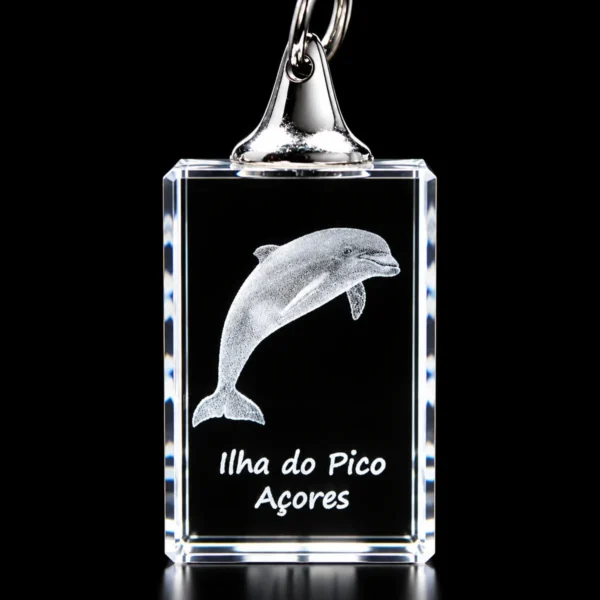 PCR021 Porta-Chaves Cristal Rect s/LED Golfinho-Pico