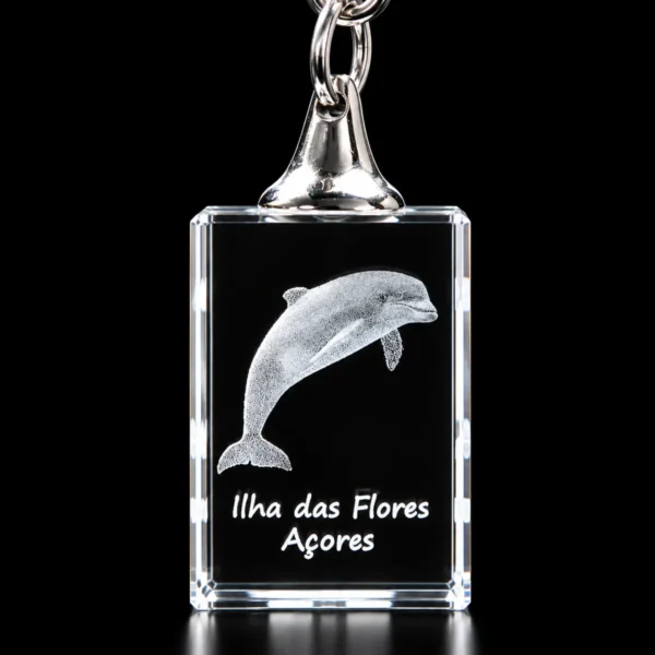 PCR022 Porta-Chaves Cristal Rect s/LED Golfinho-Flores