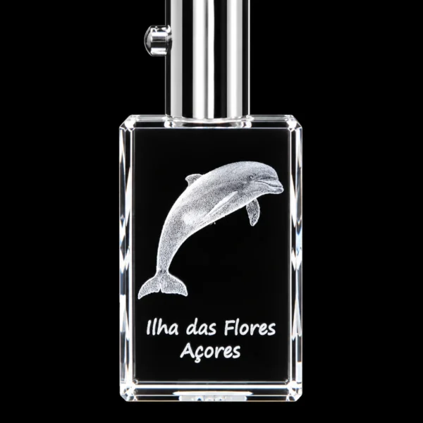 PCR041 Porta-Chaves Cristal Rect c/LED Golfinho-Flores