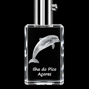 Porta-Chaves Cristal Rect c/LED Golfinho-Pico
