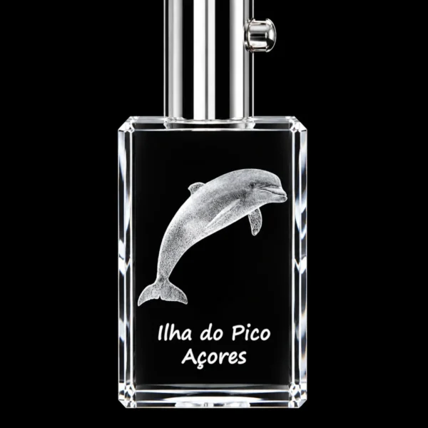 PCR042 Porta-Chaves Cristal Rect c/LED Golfinho-Pico
