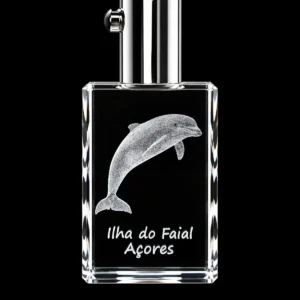 Porta-Chaves Cristal Rect c/LED Golfinho-Faial