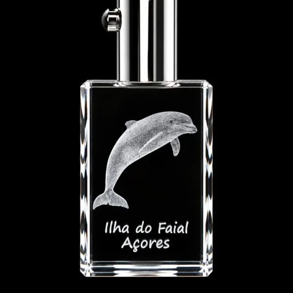 Porta-Chaves Cristal Rect c/LED Golfinho-Faial