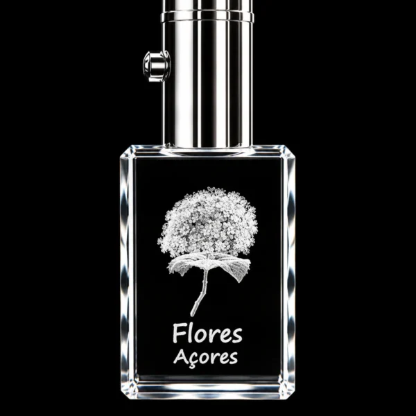 PCR078 Porta-Chaves Cristal Rect c/LED Hortênsia-Flores