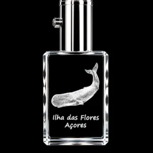 Porta-Chaves Cristal Rect c/LED Cachalote-Flores