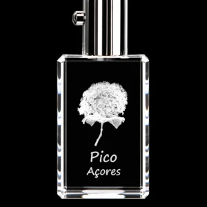 Porta-Chaves Cristal c/Luz LED - Hortênsia - Pico