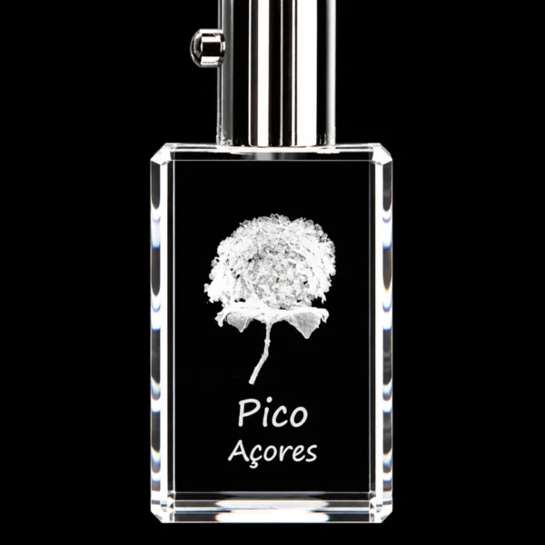 Porta-Chaves Cristal c/Luz LED - Hortênsia - Pico