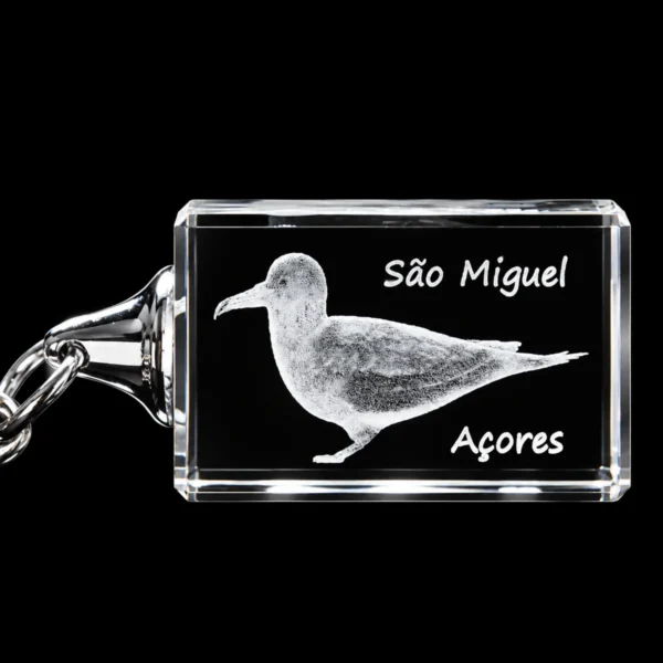 PCR116 Porta-Chaves Cristal s/LED - Cagarro - São Miguel