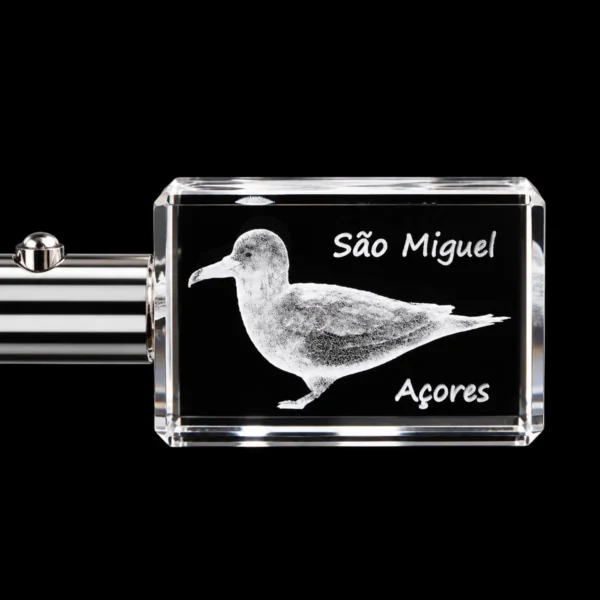 PCR117 Porta-Chaves Cristal c/LED - Cagarro - São Miguel